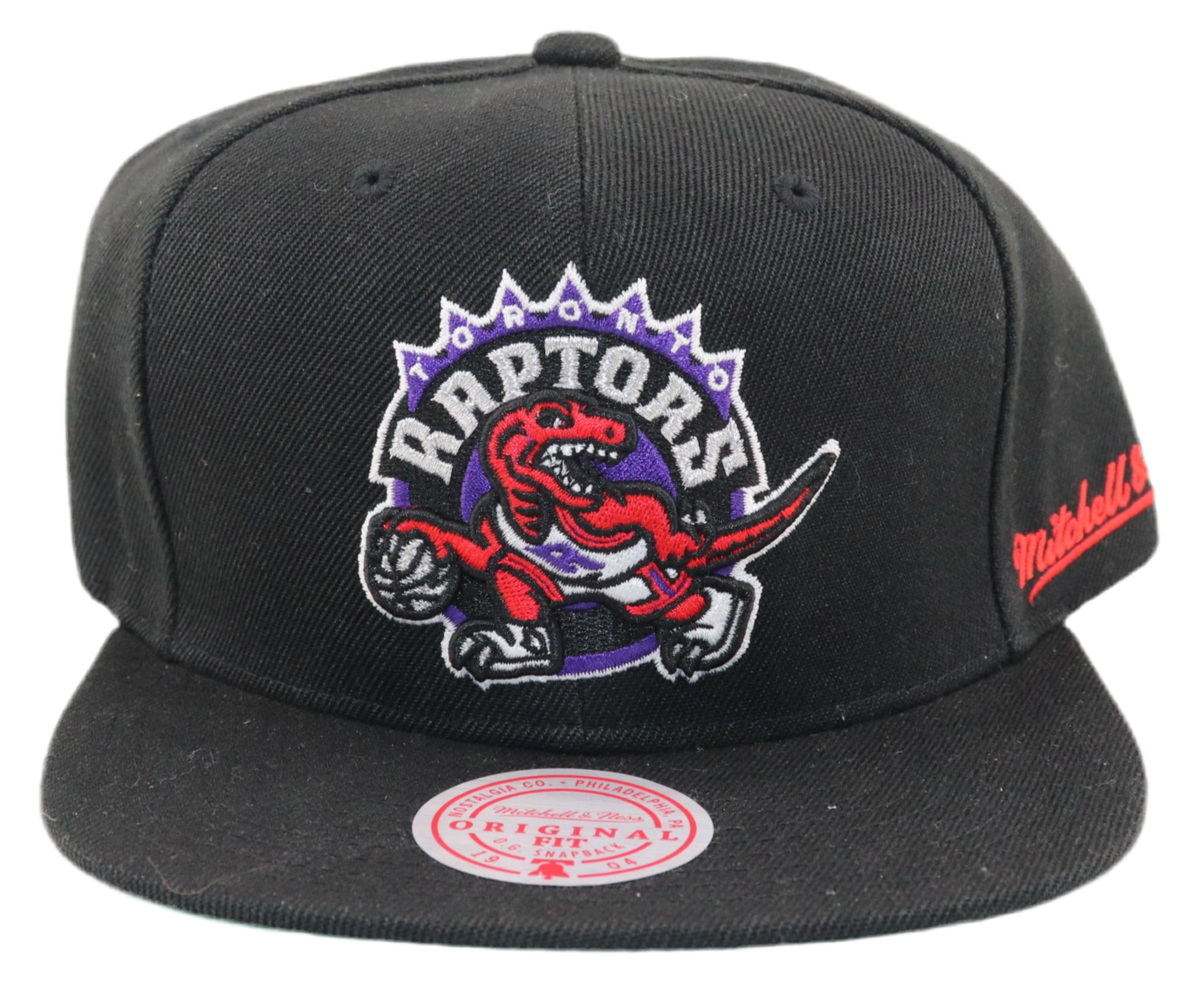 Toronto Raptors Cap