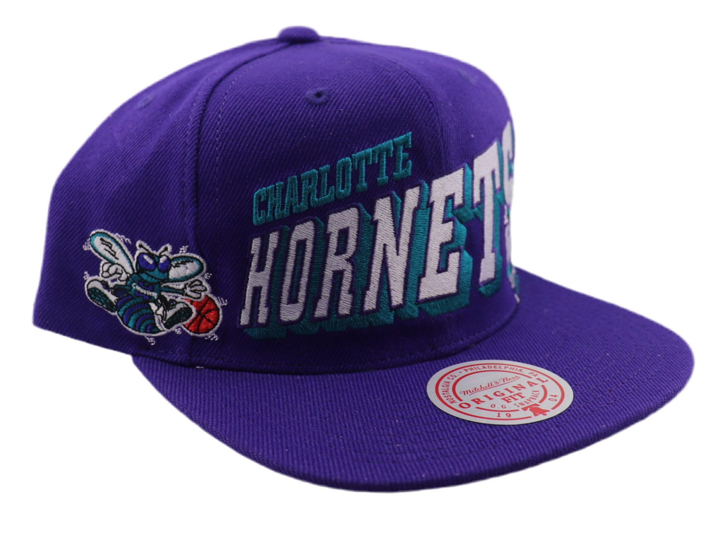 Charlotte Hornets Cap