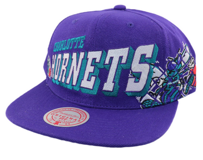 Charlotte Hornets Cap