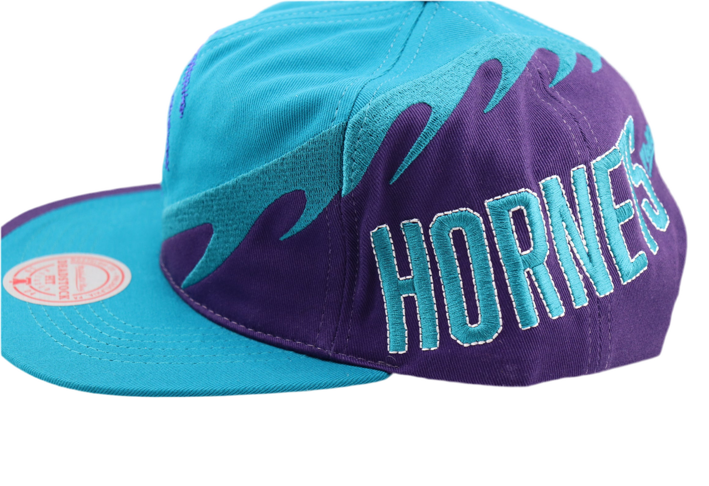 Charlotte Hornets Cap