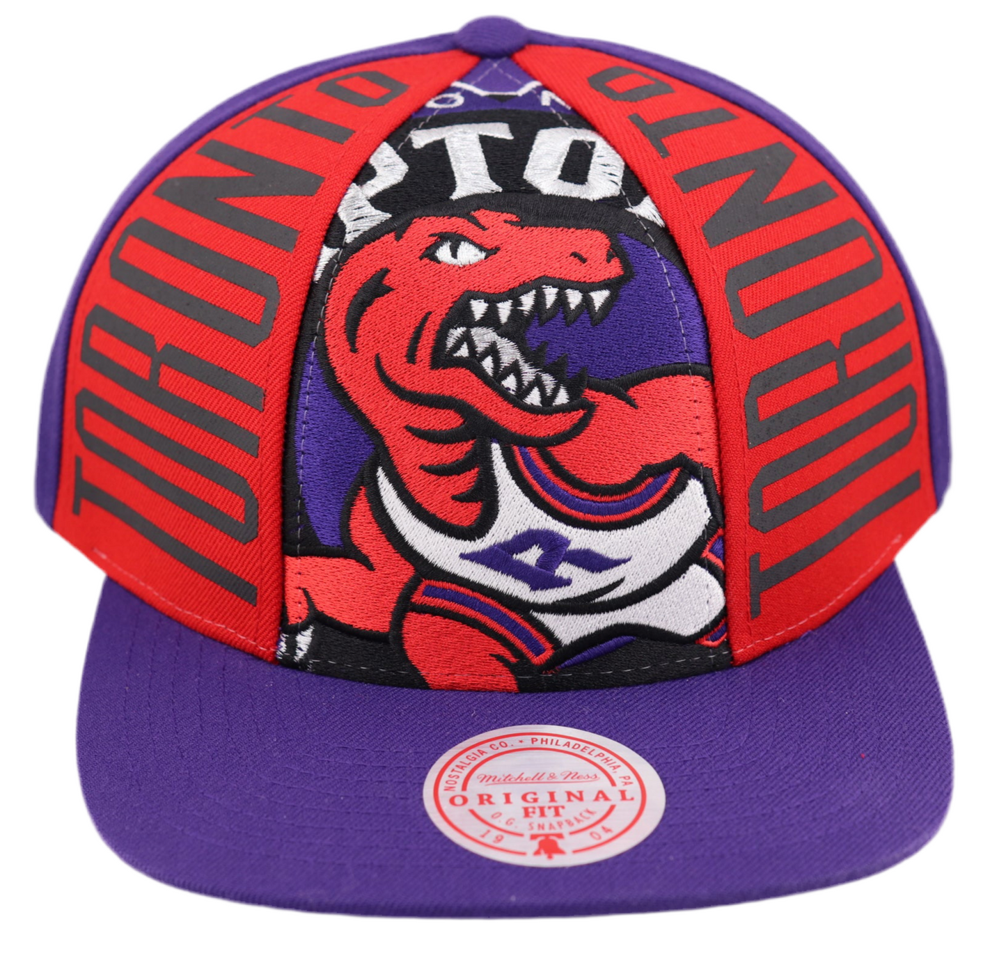 Toronto Raptors Cap